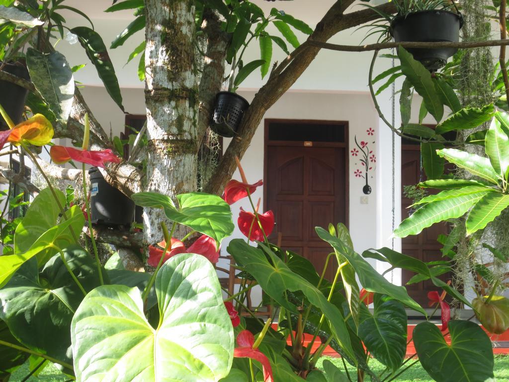 Jungle Holiday Home Hikkaduwa Exterior photo